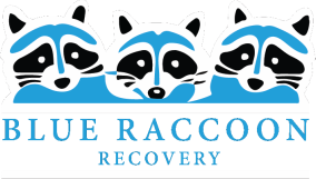 Blue Raccoon Public Adjusters in Denver, Colorado